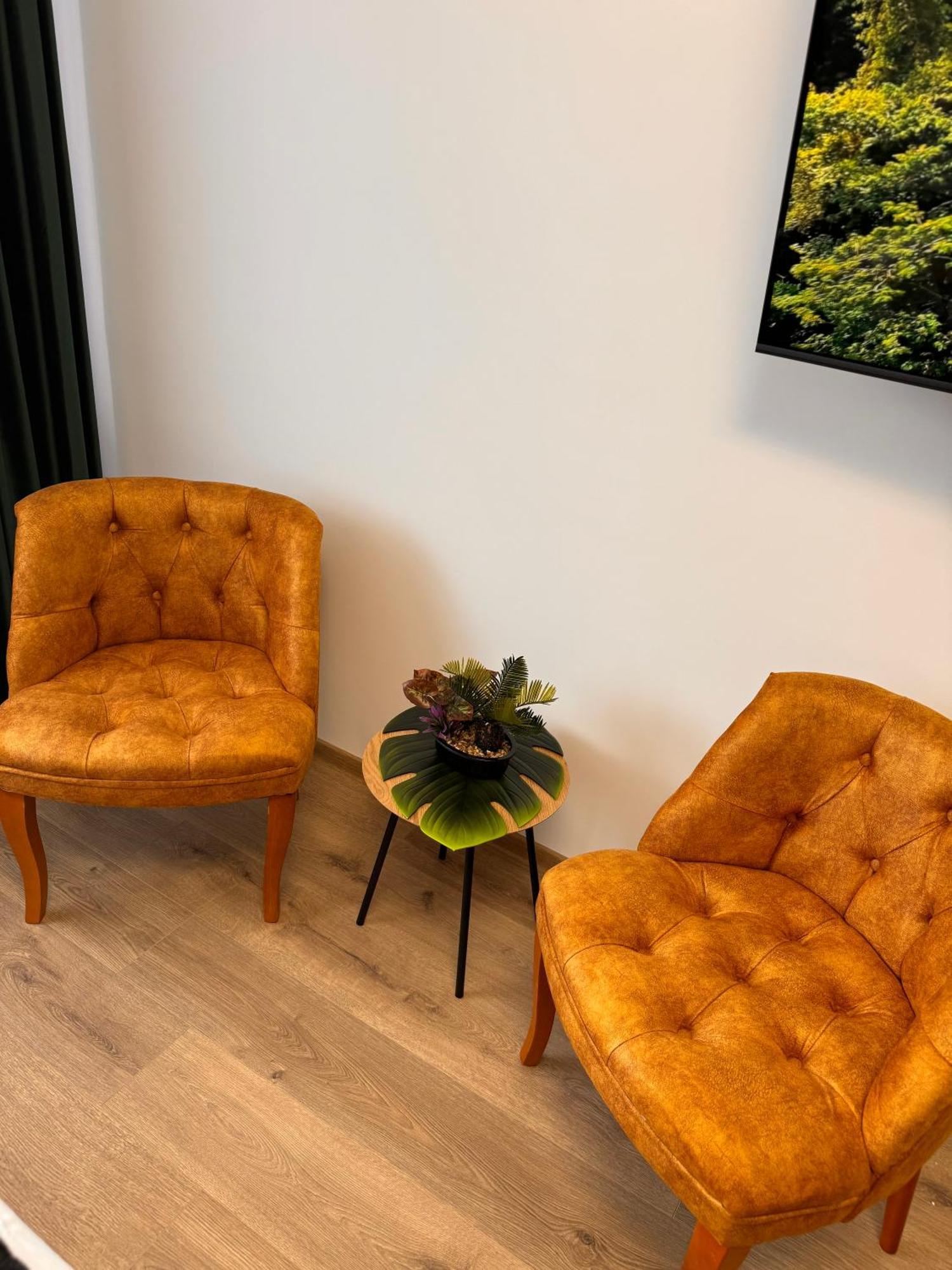 شقة Jungle Loft سوتْشافا المظهر الخارجي الصورة
